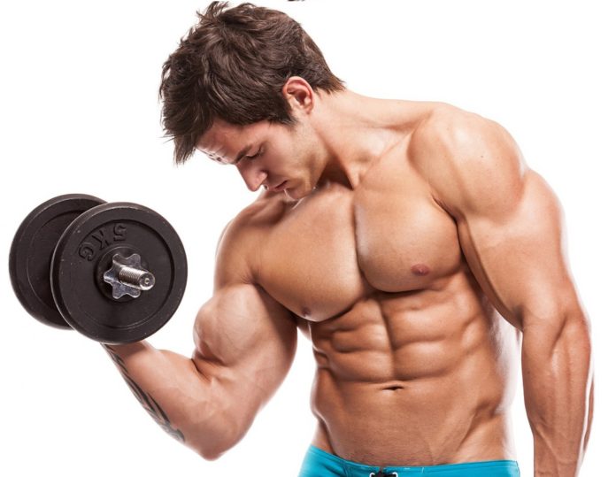 Gain Lean Muscles