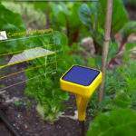 smart-garden-system