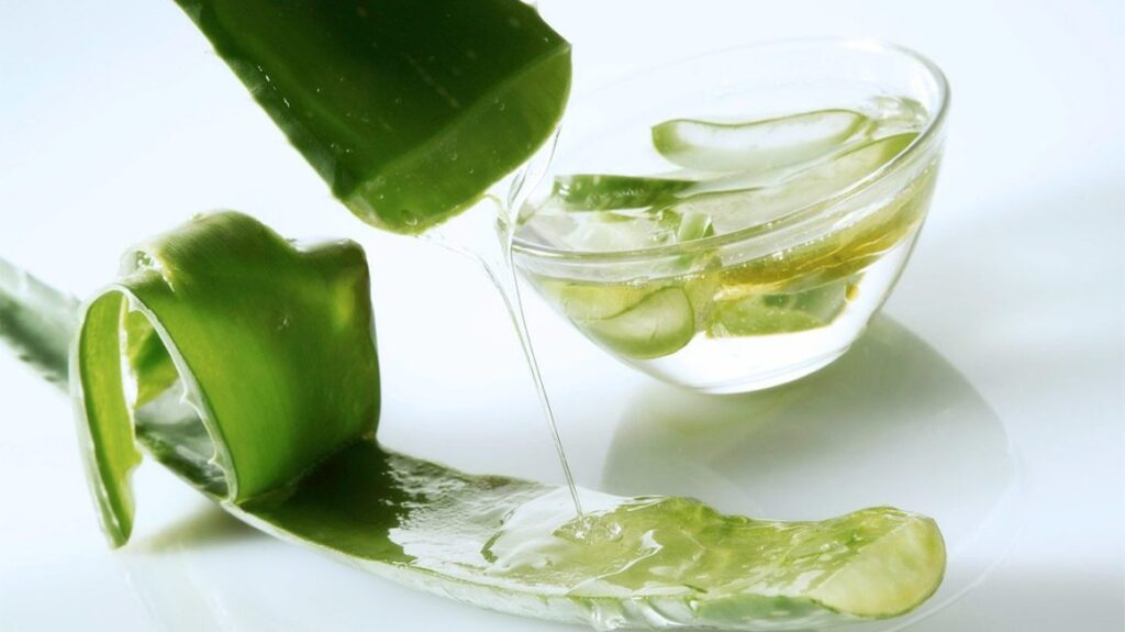 Top 6 Benefits of Aloe Vera Juice For Hair.