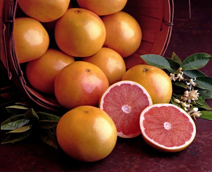 Grapefruit