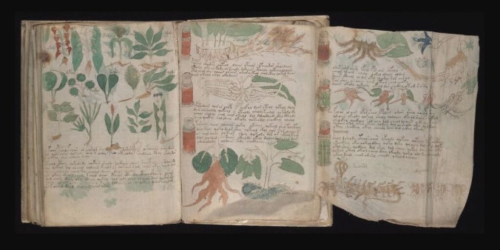 Voynich Manuscript