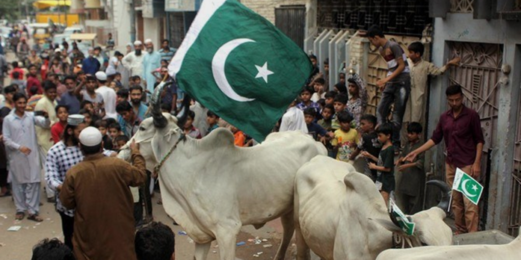 Eid ul-Adha Cultural Celebrations