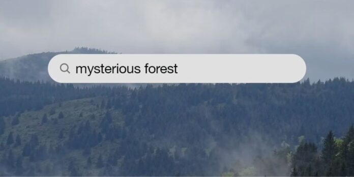 Mysterious Forests