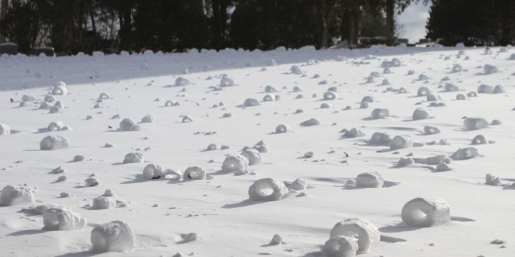 Snow Donuts