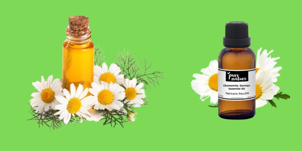 Chamomile Oil