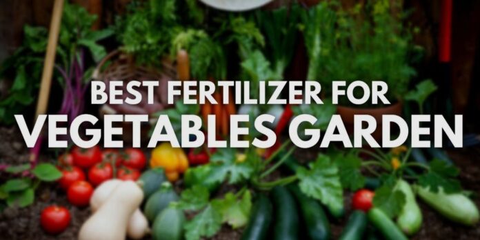 fertilizers for vegetable gardens