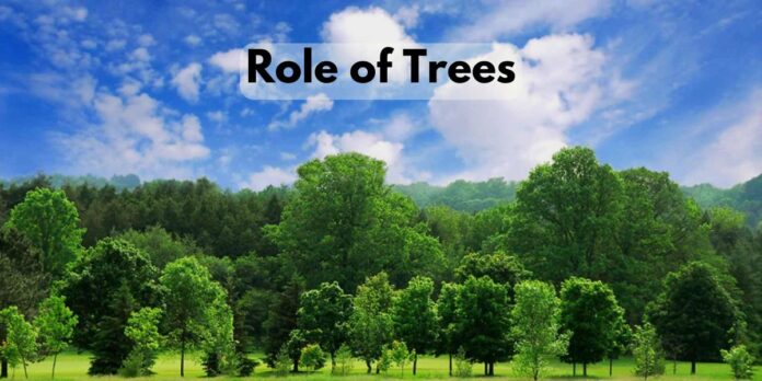 Role of Trees