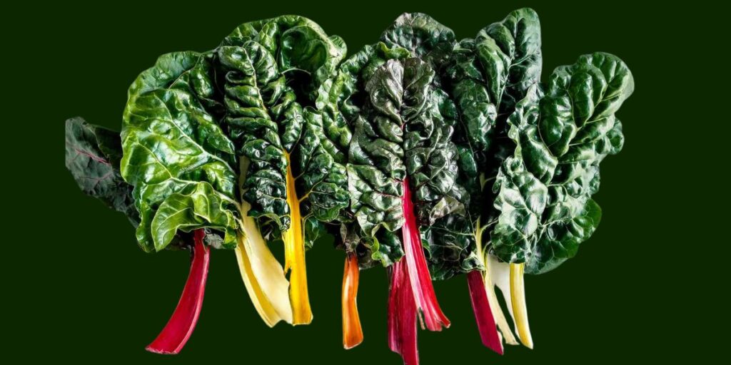 Swiss Chard