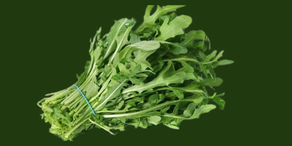 Arugula