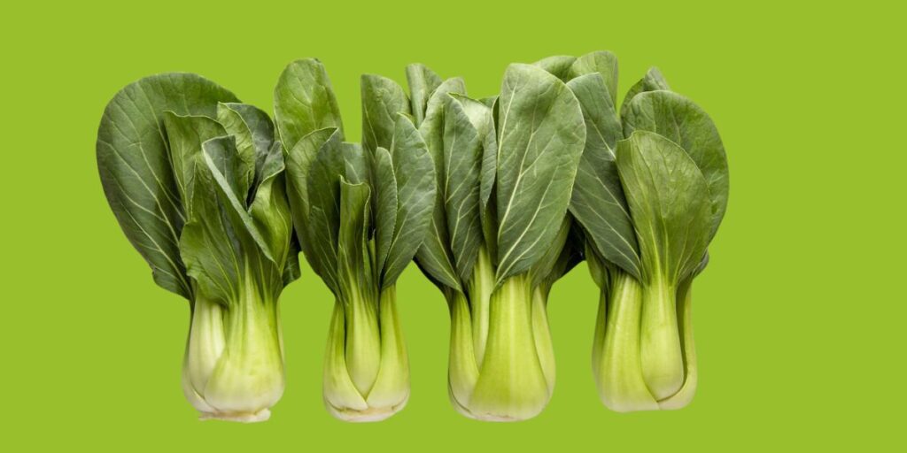 Bok Choy